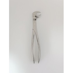 Routurie Alt Furkasyon Davyesi  